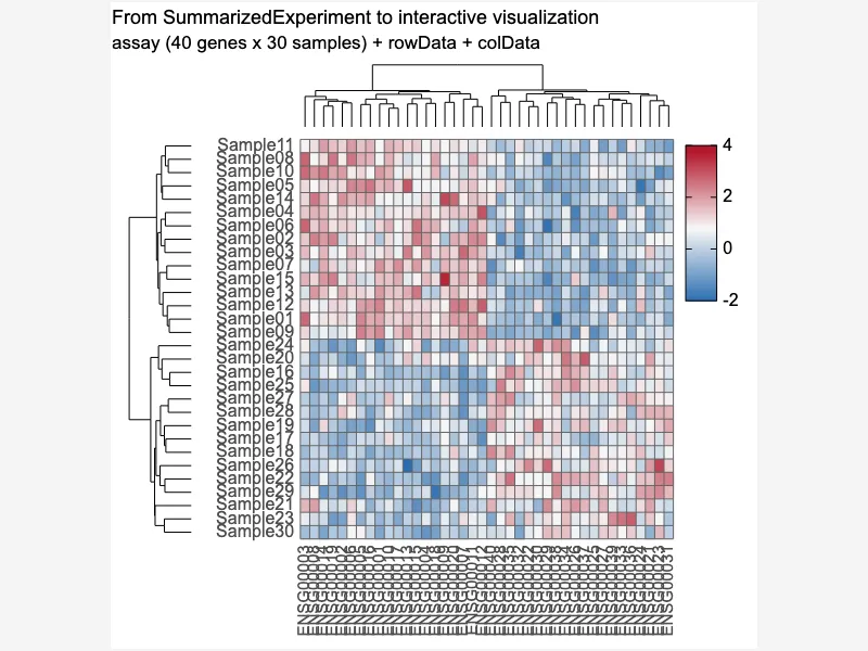 From SummarizedExperiment to interactive visualization